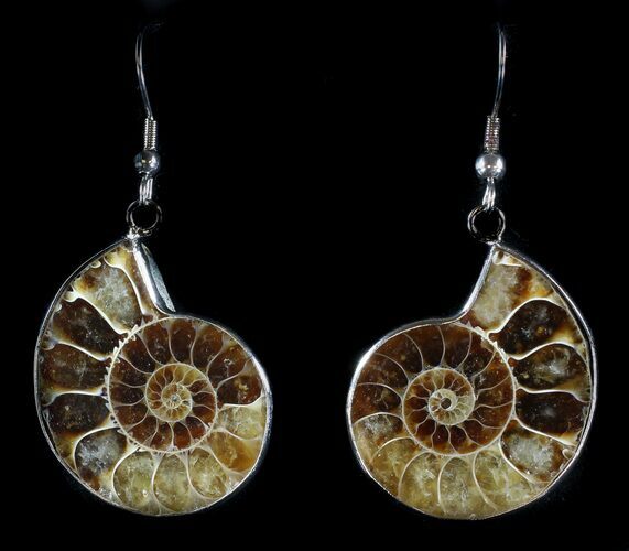 Fossil Ammonite Earrings - Million Years Old #35833
